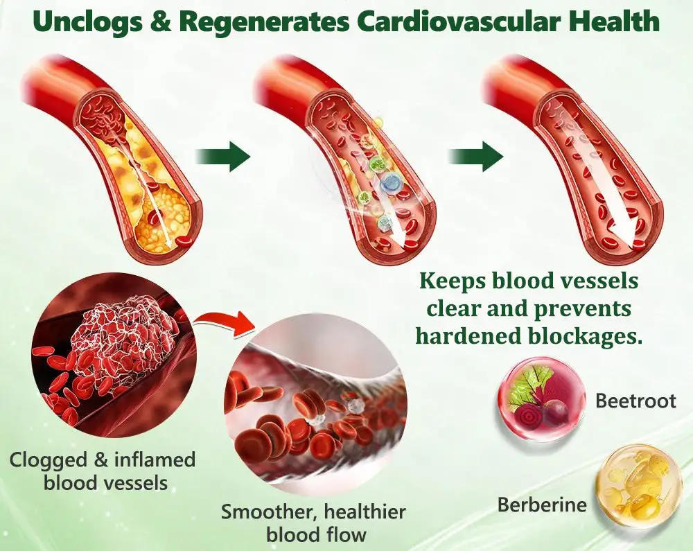 ๐ถ๐๐๐๐๐๐๐ ๐บ๐๐๐๐ | ๐๐๐๐๐๐๐๐ยฎ ๐ด๐๐๐๐๐๐ฎ ยท ๐๐ฒ๐ฟ๐ฏ๐ฒ๐ฟ๐๐ฃ๐ ร ๐๐ผ๐+ ๐๐-๐ข๐ง-๐ ๐๐ฑ๐๐ฎ๐ป๐ฐ๐๐ ๐๐๐ฃ๐ค ๐๐๐๐ง๐ค๐ฃ๐๐๐๐ฅ๐ ๐๐๐ญ๐๐๐บ๐ธ(๐๐ฎ๐ฌ๐ญ ๐จ๐ง๐๐ ๐ ๐๐๐ฒ, ๐ฏ๐ข๐ฌ๐ข๐๐ฅ๐ ๐๐ก๐๐ง๐ ๐๐ฌ ๐ข๐ง ๐ ๐๐๐ฒ๐ฌ๏ผ โ
๐
๐จ๐ซ ๐จ๐๐๐ฌ๐ข๐ญ๐ฒ, ๐
๐
๐
๐
ข๐
๐
ข๐
๐
๐
,๐๐ข๐๐๐๐ญ๐๐ฌ, ๐ฌ๐ฅ๐๐๐ฉ ๐๐ฉ๐ง๐๐, ๐ฃ๐จ๐ข๐ง๐ญ ๐ข๐ฌ๐ฌ๐ฎ๐๐ฌ, ๐๐ง๐ ๐ฆ๐จ๐ซ๐
