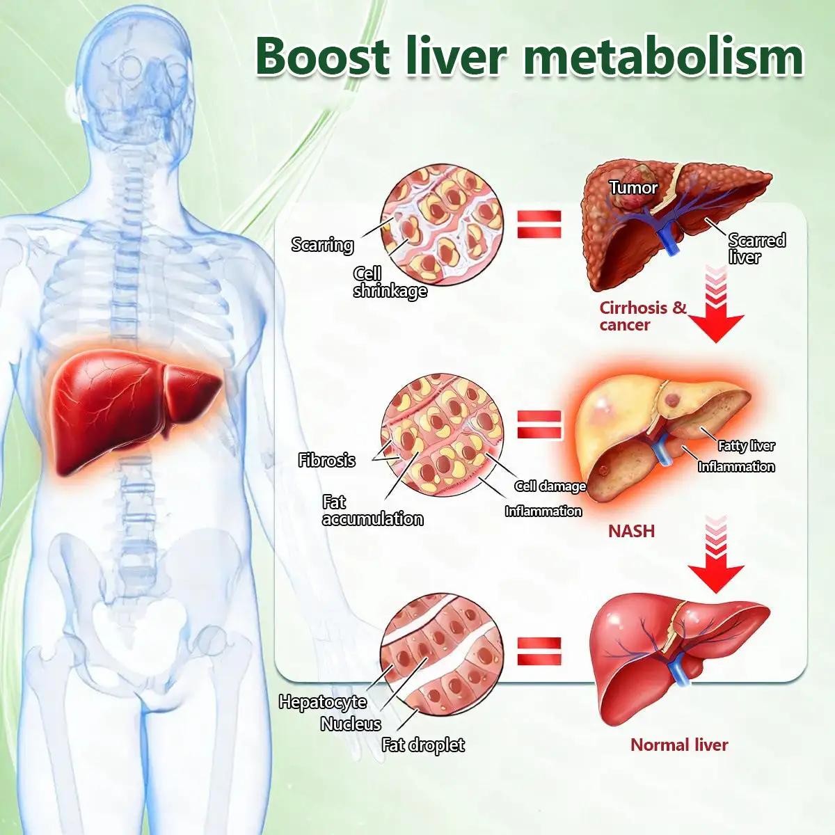 ๐ถ๐๐๐๐๐๐๐ ๐บ๐๐๐๐ | ๐๐๐๐๐๐๐๐ยฎ ๐ด๐๐๐๐๐๐ฎ ยท ๐๐ฒ๐ฟ๐ฏ๐ฒ๐ฟ๐๐ฃ๐ ร ๐๐ผ๐+ ๐๐-๐ข๐ง-๐ ๐๐ฑ๐๐ฎ๐ป๐ฐ๐๐ ๐๐๐ฃ๐ค ๐๐๐๐ง๐ค๐ฃ๐๐๐๐ฅ๐ ๐๐๐ญ๐๐๐บ๐ธ(๐๐ฎ๐ฌ๐ญ ๐จ๐ง๐๐ ๐ ๐๐๐ฒ, ๐ฏ๐ข๐ฌ๐ข๐๐ฅ๐ ๐๐ก๐๐ง๐ ๐๐ฌ ๐ข๐ง ๐ ๐๐๐ฒ๐ฌ๏ผ โ
๐
๐จ๐ซ ๐จ๐๐๐ฌ๐ข๐ญ๐ฒ, ๐
๐
๐
๐
ข๐
๐
ข๐
๐
๐
,๐๐ข๐๐๐๐ญ๐๐ฌ, ๐ฌ๐ฅ๐๐๐ฉ ๐๐ฉ๐ง๐๐, ๐ฃ๐จ๐ข๐ง๐ญ ๐ข๐ฌ๐ฌ๐ฎ๐๐ฌ, ๐๐ง๐ ๐ฆ๐จ๐ซ๐