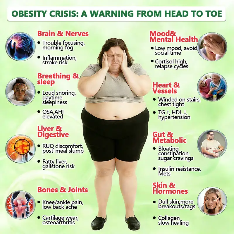 ๐๐ฎ๐ฌ๐ฌ๐ข๐ ๐๐จ๐๐ญ๐จ๐ซ ๐๐๐๐จ๐ฆ๐ฆ๐๐ง๐๐๐ ๐จโโ๏ธ | ๐ด๐ผ๐น๐พ๐ถ๐ตยฎ ๐๐ฒ๐ฟ๐ฏ๐ฒ๐ฟ๐ถ๐ป๐ฒ ๐๐-๐ข๐ง-๐ ๐ก๐ฎ๐ป๐ผ ๐ ๐ถ๐ฐ๐ฟ๐ผ๐ป๐ฒ๐ฒ๐ฑ๐น๐ฒ ๐ฃ๐ฎ๐๐ฐ๐ต ๐| ๐ด๐๐ฃ๐๐๐๐๐ 10-๐๐-1 ๐๐๐๐๐ข๐๐ | โ
๐๐๐ ๐๐๐๐ ๐๐๐ ๐ข๐๐ก๐ ๐๐ ๐๐ ๐๐๐ก๐ก๐๐ ๐๐ 7 ๐๐๐ฆ๐ ๐ฆ